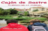 Cajón de Sastre - cpiturrama.educacion.navarra.escpiturrama.educacion.navarra.es/web/images/stories/pdf/CajonSastre... · cajón de sastre 3 en este nÚmero encontrarÁs... 4. excursiones