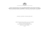 EVALUACION DE LOS POLIMORFISMOS DE NUCLEOTIDO SIMPLE ASOCIADOS A CAMBIOS EN EL · PDF file · 2014-03-18SIMPLE ASOCIADOS A CAMBIOS EN EL COLOR DE LA CARNE ... por la lectura de este