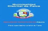 Municipalidad Distrital de Palca - peru.gob.pe · PDF filel Turismo es una actividad que ha tenido un gran ... gastronómico, medicinal y turismo rural comunitario (agroturismo ...