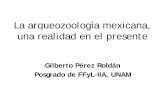 La arqueozoología mexicana, una realidad en el presente · PDF filedos monolitos de piedra, ... • A principios de la década de los 80´s, ... Del laboratorio al informe. Fases.