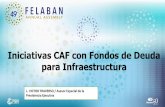 Iniciativas CAF con Fondos de Deuda para · PDF fileinstitucionales, clientes y otros financiadores, ... Infraestructura y Sector Privado • Respuesta de CAF: Los Fondos de Deuda