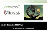 Visión General del ERP Ágilestratek.ec/brochures/OPENBRAVO - Customer Presentation - ESTRAT… · Introducción a Openbravo Beneficios del ERP Ágil Visión General del Producto