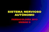 SISTEMA NERVIOSO AUTÓNOMOs300f07e2f95414d7.jimcontent.com/download/version...producidos por la acetilcolina qaue es el neurotransmisor usado por el parasimpático. •Acción directa:
