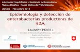 Epidemiología y detección de enterobacterias …wp-cursos.s3.amazonaws.com/wp-content/uploads/2016/05/...Principales resistencias a antibióticos en especies bacterianas en medicina