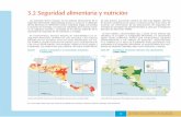 3.2 Seguridad alimentaria y nutrición - eird. · PDF file1998 y 2005 ésta se incrementó para el arroz de 42 a 66%, ... (FESAL) 2002/2003 de El Salvador. 38 Encuesta Nicaragüense