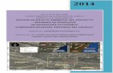 ESTUDIO DE IMPACTO AMBIENTAL DEL · PDF fileDatos del Proponente del Proyecto y del Responsable de los Estudios Ambientales ... diesel de la industria, ... la producción petrolera