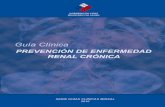 Guía Clínica 2010 Prevención Enfermedad Renal Cró n... · PDF filede sustitución renal (diálisis o trasplante), para las personas con IRC terminal, está ... 17-24 111,72 114,83