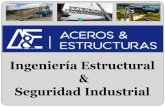 Ingeniería Estructural Seguridad · PDF fileNuestra Misión A&E Aceros y Estructuras S.A.S ofrece un servicio integral en el área de ingeniería, a través del diseño, fabricación