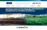 BUENAS PRÁCTICAS PARA EL DESARROLLO DE …repositorio.iica.int/bitstream/11324/4211/1/BVE17099223e.pdf · Programa Regional de Investigación e Innovación por Cadenas de Valor Agrícola
