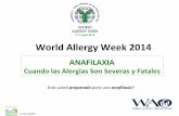 World&Allergy&Week2014y(parAcipando(en(acAvidades(que(llamen(laatención(sobre(el(aumento(de ... • Las(picaduras(de(insectos(y(los(medicamentos(son ... (El(uso(de ...