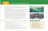 Propósitos Los ecosistemas - · PDF filenaturales que disminuyen la fuerza destructiva de las olas y protegen la costa; ... Los bosques de kelp son uno de los ecosistemas más ricos