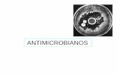 ANTIMICROBIANOS - …de... · ANTIBIOTICOS Hongos filamentosos: ... Bases moleculares de la toxicidad selectiva . MECANISMOS BIOQUÍMICOS IMPLICADOS EN LA