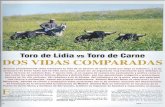 laeconomiadeltoro.files.wordpress.com · Toro de Lidia vs Toro de Carne ... Puerto de Santa María y Sanlúcar de Barrameda, ... público en general, ya que, salvo Ios