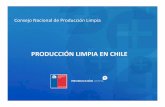 PRODUCCIÓN LIMPIA EN CHILE - iica.int · proceso o instalación en ... Eficacia en la utilización del instrumental de fomento productivo. ... Productores de pisco: Valorización