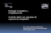 Patología Amigdalina y Amigdalectomía ¿Cuándo deben … Dra. Nuria...•Trismus y voz en “papa caliente ...