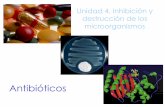 Unidad 4. Inhibición y destrucción de los microorganismosdepa.fquim.unam.mx/amyd/archivero/U4_Antibioticos_19926.pdf · (Normas CLSI - NCCLS) Clave – Antibiótico Concentración