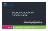 MICROBIOLOGÍA EN ENDODONCIA - Escuela de …€¦ · INTRODUCCIÓN La enfermedad pulpar es una de las patologías más frecuentes dentro de la práctica clínica, y puede llevar