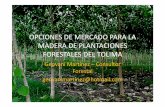Geovani Martínez – Consultor Forestal geovanii@h ...€¦ · OPCIONES DE MERCADO PARA LA MADERA DE PLANTACIONES FORESTALES DEL TOLIMA Geovani Martínez – Consultor Forestal geovanii@h