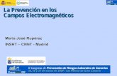 La Prevención en los Campos Electromagnéticos - Gobierno de … · 1. Los campos electromagnéticos y sus criterios de referencia 2. El marco legislativo: Directiva 2004/40/CE 3.