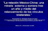 “La relación México-China: una mirada externa y somera ...dusselpeters.com/CECHIMEX/291014leychinamexico.pdf · Embajador de México en China 2001-2007, Embajador de México en