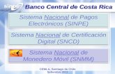 Sistema Nacional de Pagos Electrónicos (SINPE) Sistema ... · Participantes del Sistema de Pagos Entidad Origen: •Bancos •Financieras no Bancarias •Mutuales •Puestos de Bolsa
