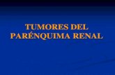 TUMORES DEL PARENQUIMA RENAL - ucm.es renales ppt.pdf · Difícil de distinguir del adenocarcinoma renal. La imagen radiológica es similar, lo que obliga a realizar cirugía (nefrectomía
