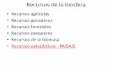 Recursos de la biosfera - Bachillerato · Concepto de paisaje PÁG. 302 ... •Explotación de recursos forestales, como por ejemplo las construcción de cortafuegos y pistas forestales