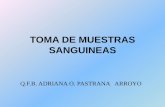 TOMA DE MUESTRAS SANGUINEAS - [DePa] Departamento de …depa.fquim.unam.mx/amyd/archivero/TOMADEMUESTR… ·  · 2012-05-10fases de control de calidad en la realizaciÓn de un examen