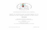ESTUDIO DE FACTIBILIDAD - jupiter.utm.mxjupiter.utm.mx/~tesis_dig/8854.pdf · universidad tecnolÓgica de la mixteca “estudio de factibilidad para el establecimiento de una fÁbrica