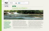 Hoja informativa de caudal ecológico - awsassets.panda.orgawsassets.panda.org/downloads/fs_caudal_ecologico.pdf · El caudal ecológico (CE) en ríos y humedales es un instrumento