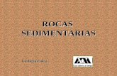 ROCAS SEDIMENTARIAS - sgpwe.izt.uam.mxsgpwe.izt.uam.mx/files/users/uami/alpr/Teoria/ROCAS_SEDIMENTARI… · las diversas rocas sedimentarias detríticas. En la tabla se representan