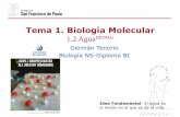 Tema 1. Biología Moleculardpbiologia.weebly.com/uploads/2/1/5/5/21553524/gtp_t1...Las sustancias que se disuelven en agua se denominan hidrofílicas, e incluyen a todas las moléculas