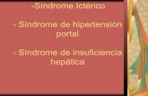 - Síndrome de hipertensión -Síndrome Ictérico portal ...semiologiahnc.webs.fcm.unc.edu.ar/files/2016/08/2017-Sindromes...Cirrosis Hepática •Estadio final hepatopatias •fibrosis