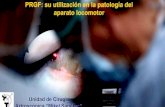 PRGF: su utilización en la patología del aparato locomotorweb0.aeartroscopia.com/sites/default/files/documentos/Webcast_AEA/...Anastomosis nerviosas ... - AKIZUKI 1997 artroplastias