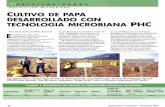 PROTECCION MICROBIANA CULTIVO DE PAPA … uno de los mas importantes en Mexico, ... Tulare. CA 93275-1475,EE.UU re/:OO 1 5595881751 • Fax: ... E-mail: polietilel"los ...