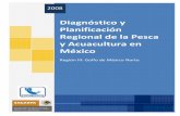 Diagnóstico y Planificación Regional de la Pesca y ... · Contenido Presentación Objetivos Sección I: Marco de referencia: diagnóstico, problemática y análisis regional 1.