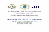 ESCUELA TÉCNICA SUPERIOR DE INGENIEROS DE …ocw.upm.es/matematica-aplicada/programacion-y-metodos...UNIVERSIDAD POLITÉCNICA DE MADRID ESCUELA TÉCNICA SUPERIOR DE INGENIEROS DE