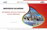 INDUSTRIA DEL GAS NATURAL - venezuelagas.net · XXI Convención Internacional y X Exhibición Industrial del Gas - AVPG 2015 Antecedentes Génesis del Marco Legal de la Industria