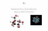 Bioelementos y biomoléculas: Agua y sales mineralesiesvinalopo.com/.../uploads/2016/09/T.1.-Agua-y-sales-inorgánicas.pdf- Utilizar esa energía para autoperpetuarse →Relación