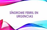 SÍNDROME FEBRIL EN URGENCIAS - …€¦ · FOD Clásica FOD Nosocomial Neutropénicos FOD VIH FOD Intermitentes Curso de Urgencias para residentes. ... • Se utiliza en combinación