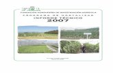 INFORME TECNICO 2007 PROGRAMA DE HORTALIZAS …fhia.org.hn/dowloads/informes_tecnicos/it2007hortalizas.pdf · Evaluación del rendimiento y calidad de frutos de veintisiete cultivares