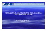 PRODUCCION Y ABASTECIMIENTO DE GAS …sitio.iae.org.ar/archivos/presentacion25.pdf1 Introducción 2 Contexto Nacional. Situación Actual Evolución en el Corto Plazo: Petróleo, Gas