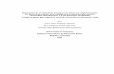 Elaboración de un manual de procesos con miras a la ...viref.udea.edu.co/contenido/pdf/199-elaboracion.pdf · Elaboración de un manual de procesos con miras a la implementación