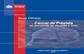 Guia Clinica 2010 Cáncer de Prostata en personas de 15 ... · 5.4 Vigencia y actualización de la Guía 26 ANEXO 1: Glosario de Términos y abreviaturas 27 ANEXO 2: Niveles de evidencia