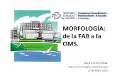 ddee la F la FAB aAB a la la - aghh.es -oms.pdf · Leucemias agudas eritroides (pura/ eritroleucemia) ...