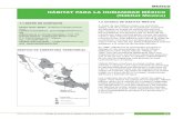 HÁbiTAT PARA lA HumANiDAD mÉxiCO (Hábitat méxico)¡bitat para la Humanidad: Catáloo de experiencias en repuesta a desastres en América latina y el Caribe