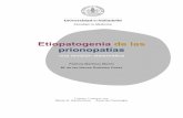Etiopatogenia de las prionopatías - UVaDOC: Iniciouvadoc.uva.es/bitstream/10324/18361/1/TFG-M-M564.pdf · etiopatogenia; y es este último evento el que ha iniciado un paradigma