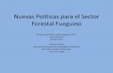 Nuevas Políticas para el Sector Forestal Fueguino. Informe Final, Julio de 2003. ... • Espacios socio-productivos dependientes del mercado externo ... Recurso Forestal vs Bien Común,