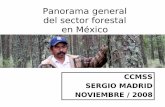 Panorama general del sector forestal en Méxicoera-mx.org/accion/UZACHI_plestr/PanoramaSector_forestal.pdf · extracciÓn caminos forestales y transporte 22 valor en pie derecho de