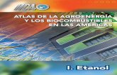 ATLAS DE LA AGROENERGÍA Y LOS … de...Instituto Interamericano de Cooperación para la Agricultura Atlas de la Agroenergía y los Biocombustibles en las Américas 6 1 SAGPyA, e IICA,